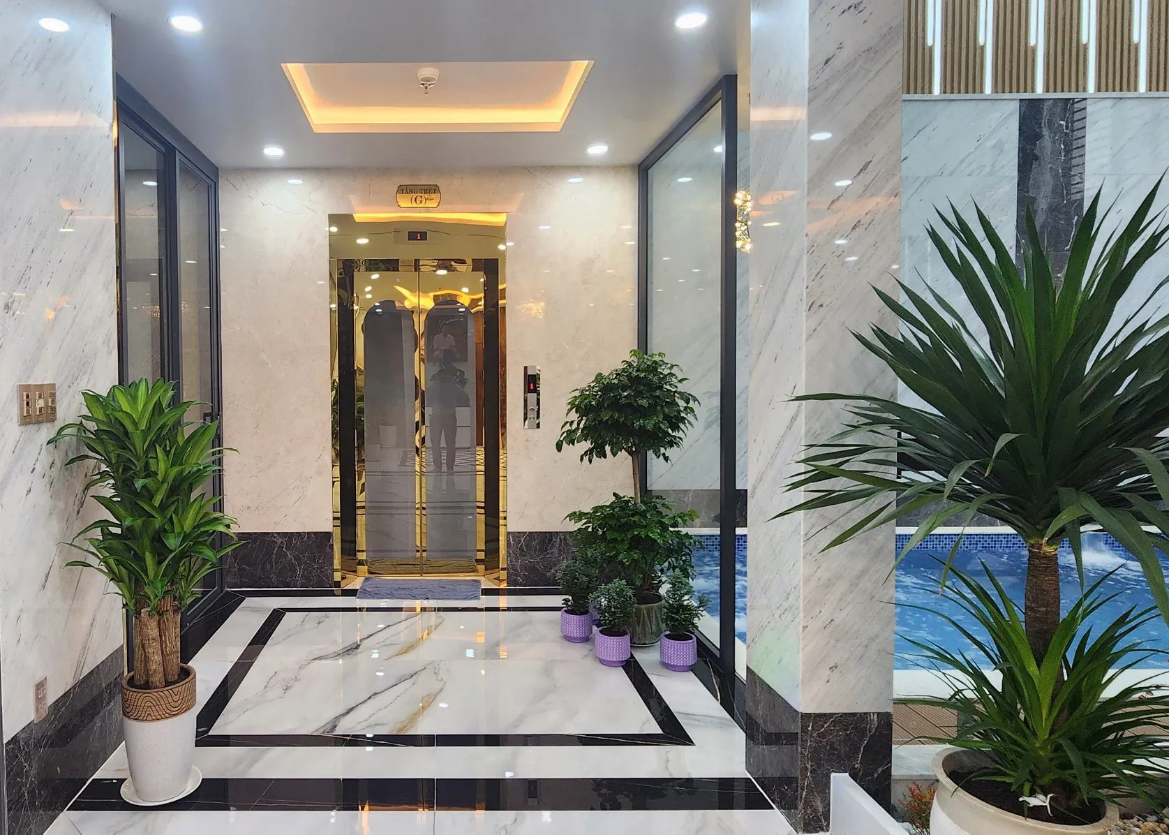 Giá thang máy 500kg: Báo giá chi tiết